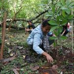 Korindo Foundation plant 500 trees